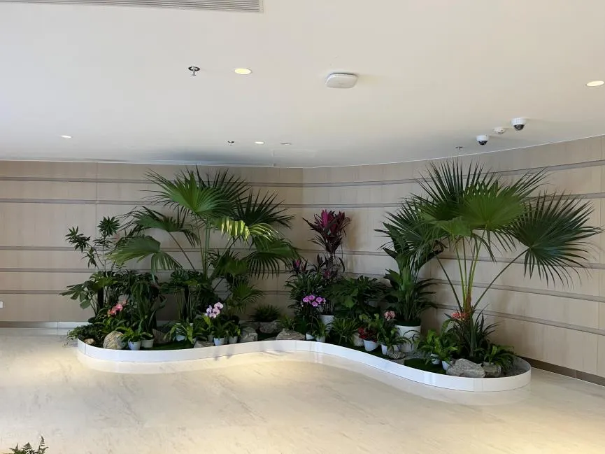 宁波余姚花卉出租公司 宁波余姚花卉出租公司